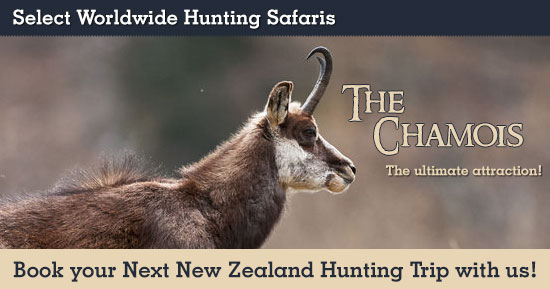 Chamois Hunting in New Zealand