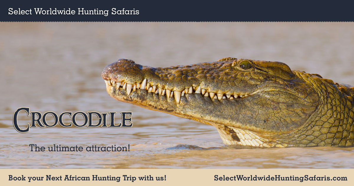 Crocodile Hunting In South Africa With Select Worldwide Hunting