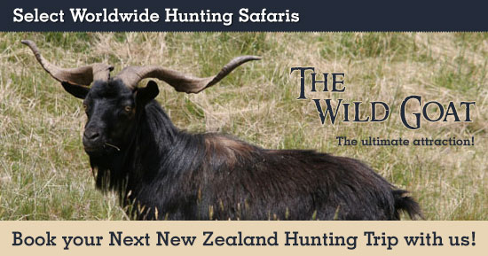 Goat Hunting in New Zealand