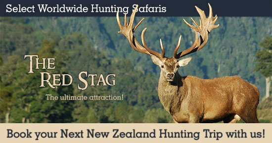 Red Stag Hunting in New Zealand