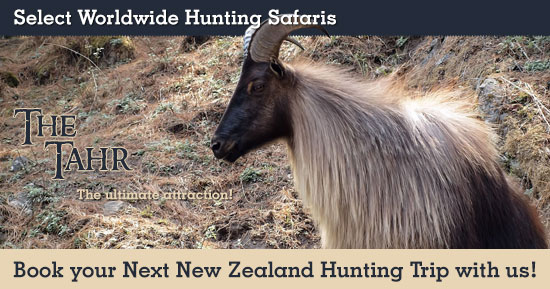 Hunting Tahr in New Zealand