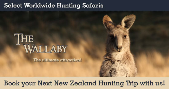 Wallaby Hunting in New Zealand