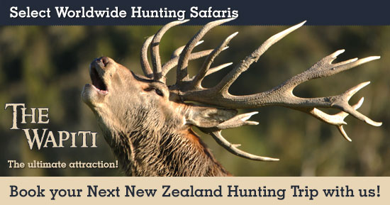 Wapiti (Elk) Hunting in New Zealand
