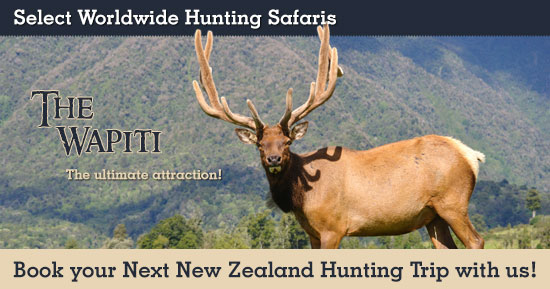 Hunting Wapiti in New Zealand