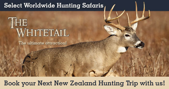Hunting Whitetail in New Zealand