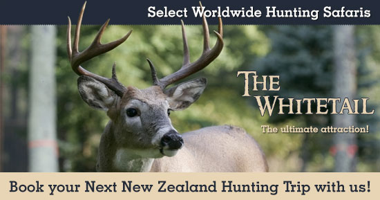 Hunting Whitetail in New Zealand