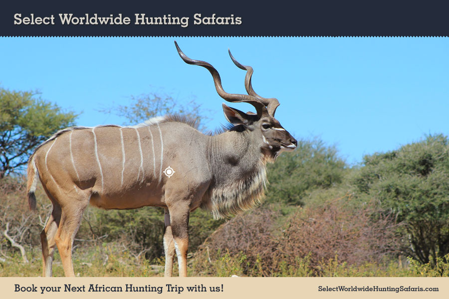 Hunting Kudu in Southern Africa